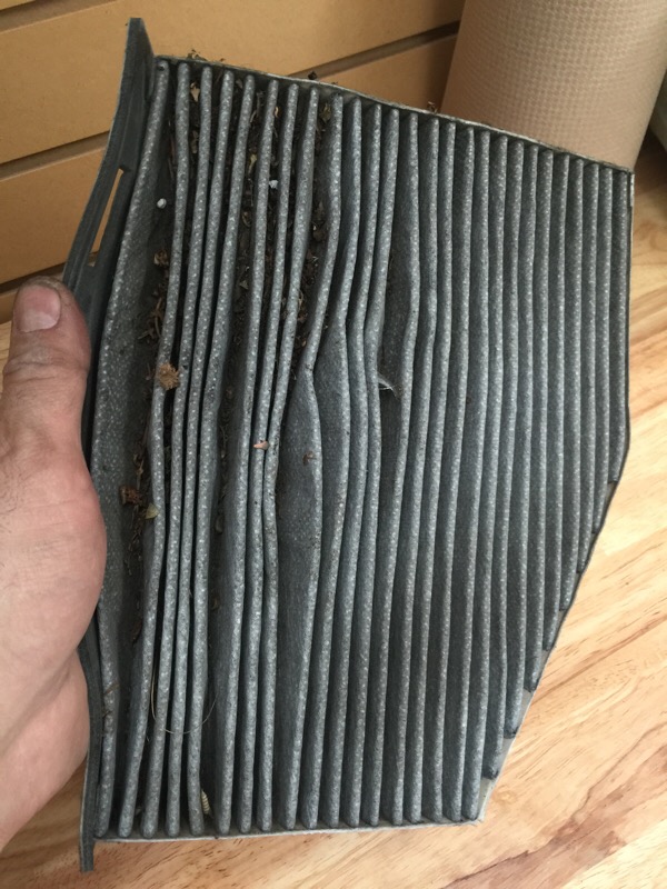 abs2.jpg