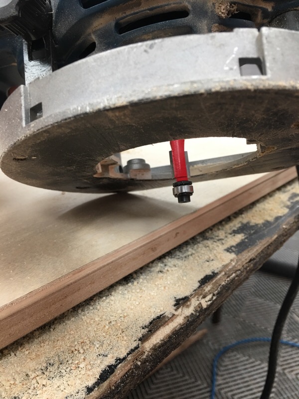 martorsion6.jpg